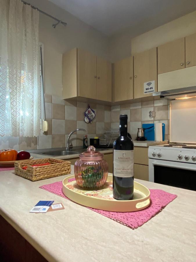 Cozy And Quiet Mini City Apartment Trikala  Exterior photo
